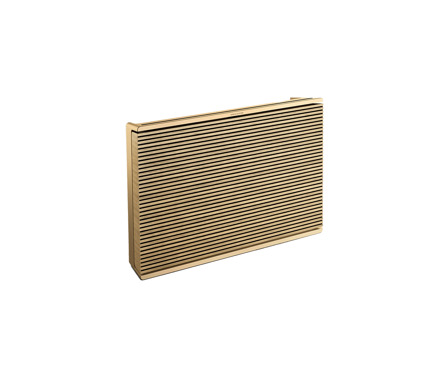 Image of a Beosound Level